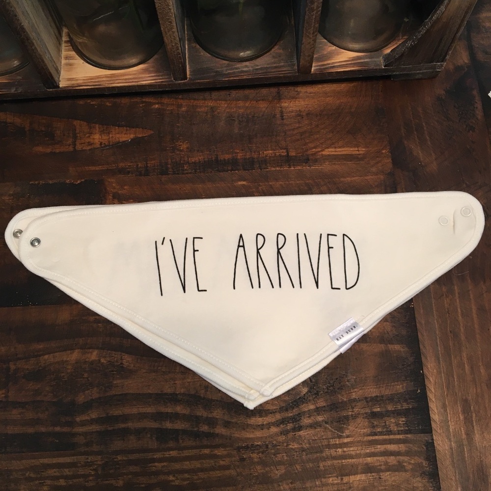 12!! Bibs by RAE DUNN NWT! - Picture 7 of 13